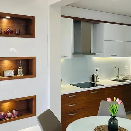 Gabrijel 2 아파트 마카르스카