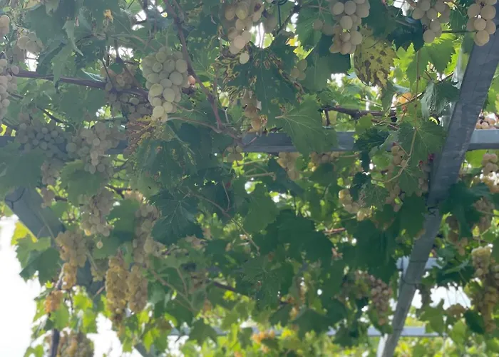 Apartman Gabrijel 2 *