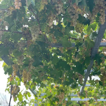 Appartement Gabrijel 2 *