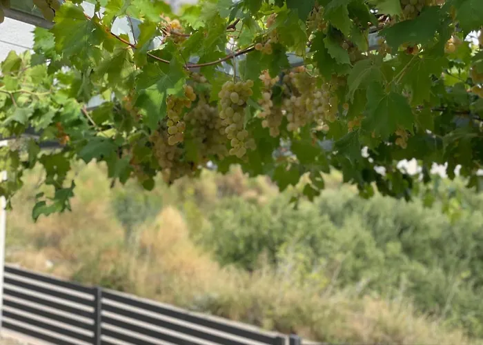 Gabrijel 2 מאקרסקה