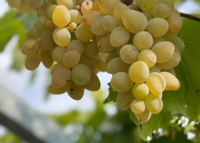 דירה Gabrijel 2 מאקרסקה